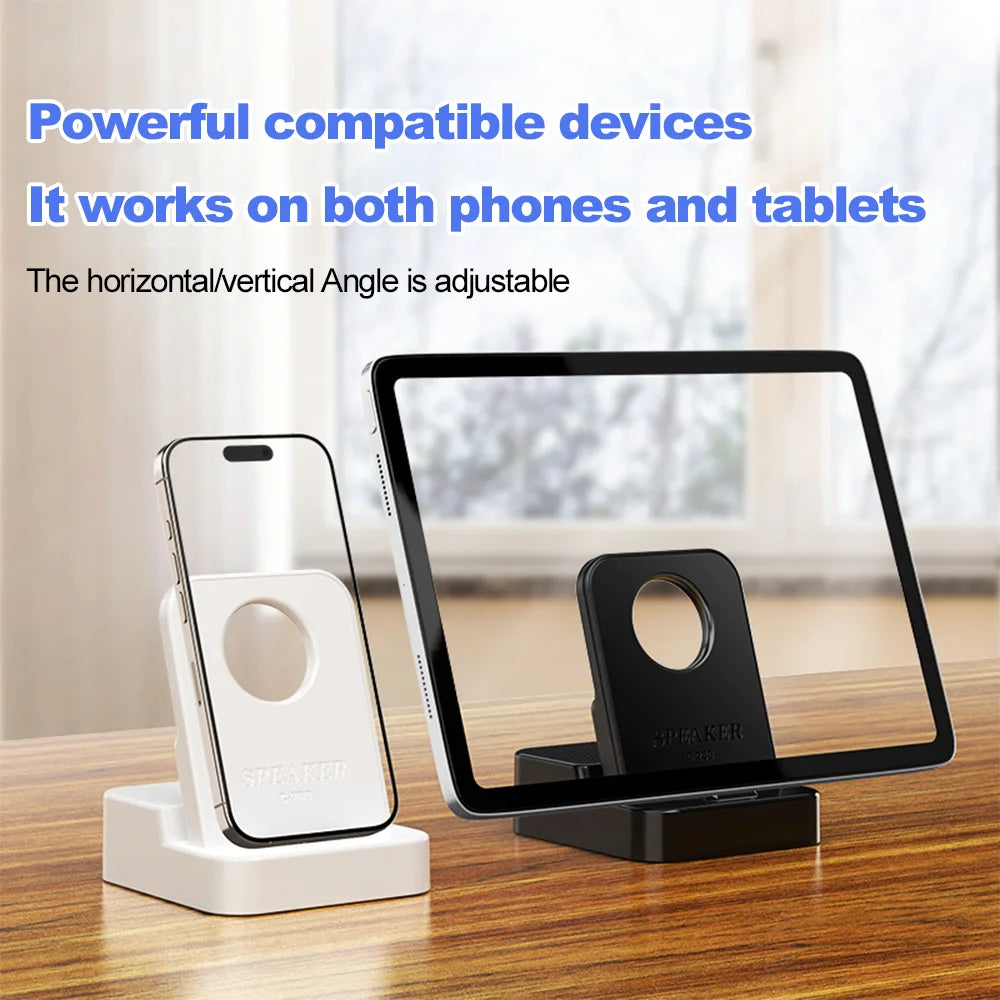 Portable Wireless Induction Speaker With Phone Stand
