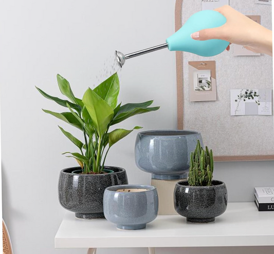 Watering Spray Ball