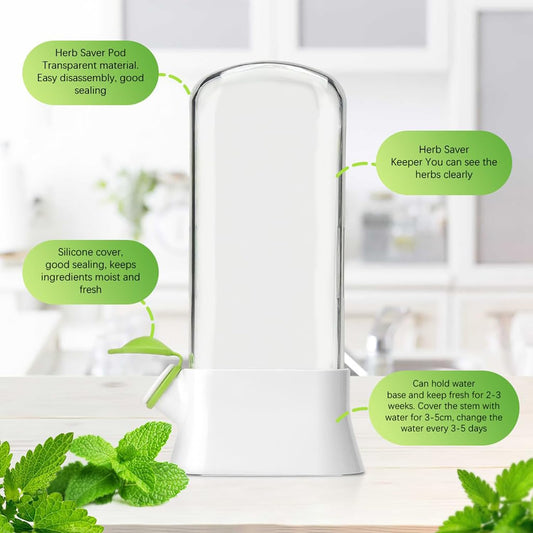 Airtight Transparent Herb Storage Box With Water Reservoir