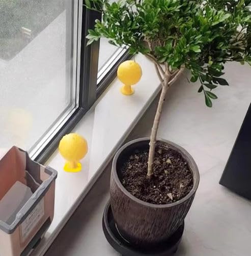 Fruit Fly Sticky Trap Ball