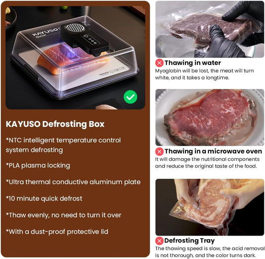 Rechargeable Quick Defrosting Tray with Lid