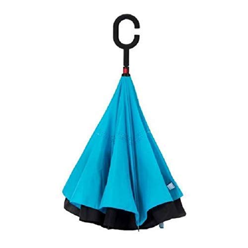 Reversible Umbrella