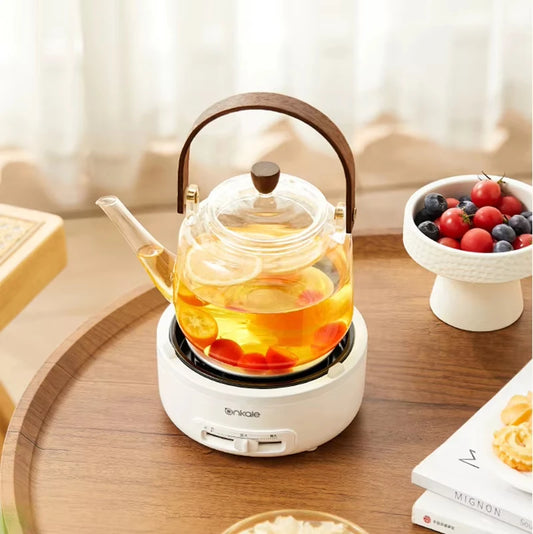 Portable Electric Cooker with Foldable Handle