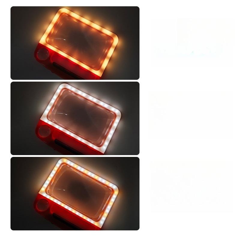 Rechargeable Handheld Magnifier with LED