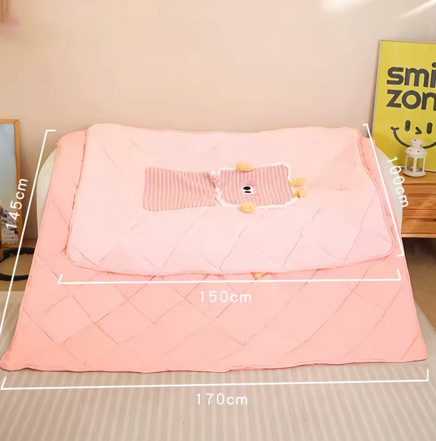 2-in-1 Pillow Blanket