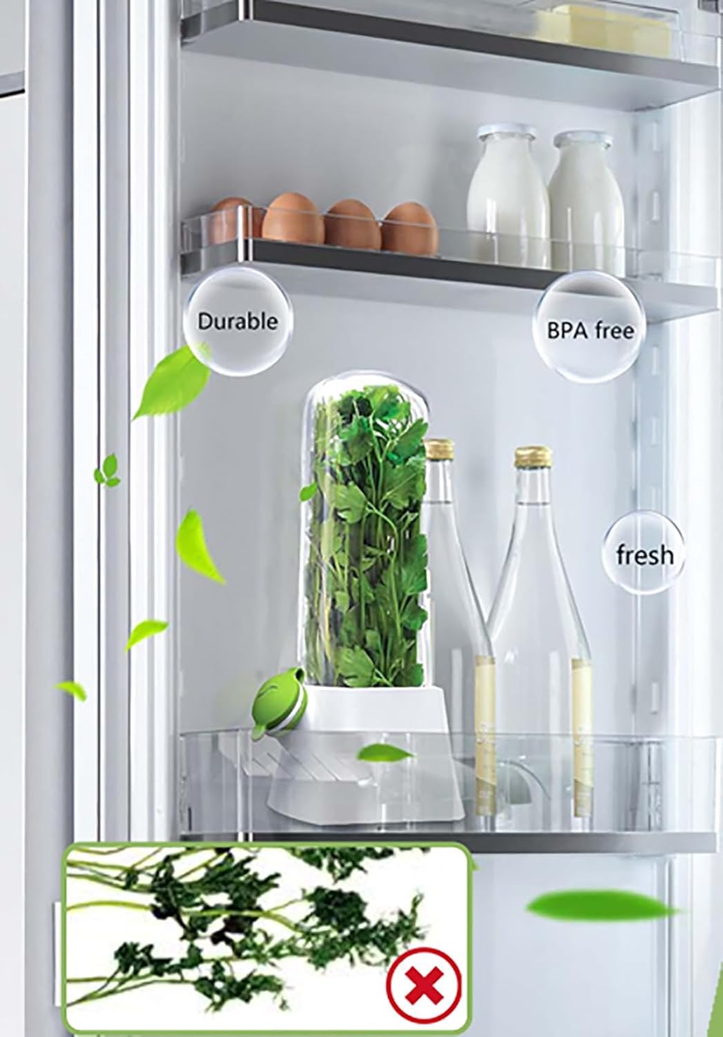 Airtight Transparent Herb Storage Box With Water Reservoir