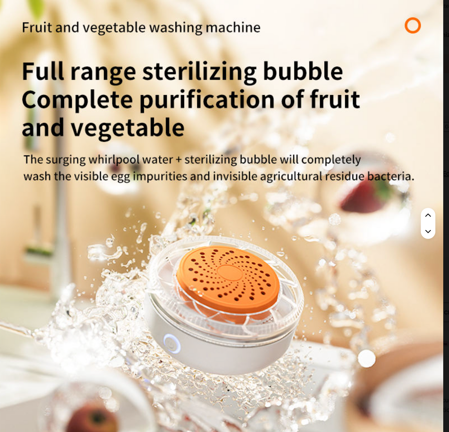 Portable Ozone Food Washer for Fruits