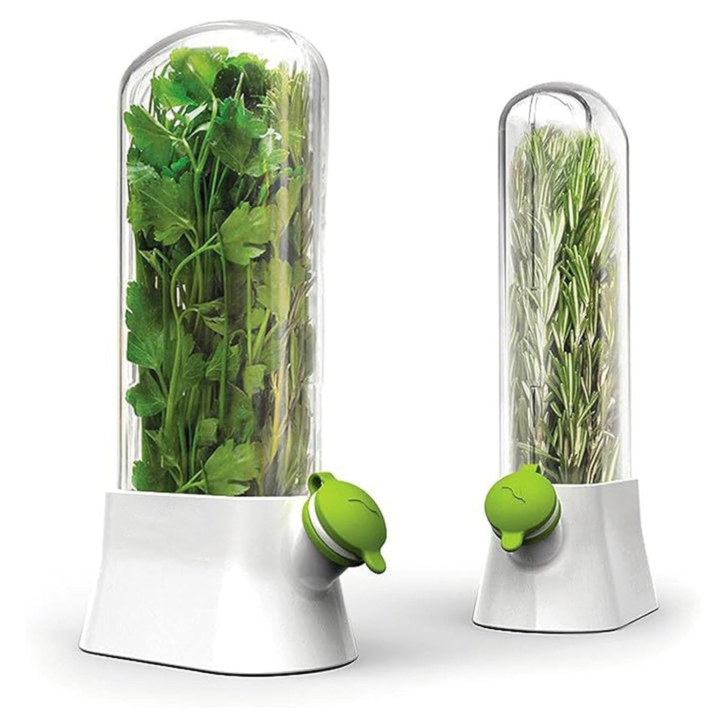 Airtight Transparent Herb Storage Box With Water Reservoir