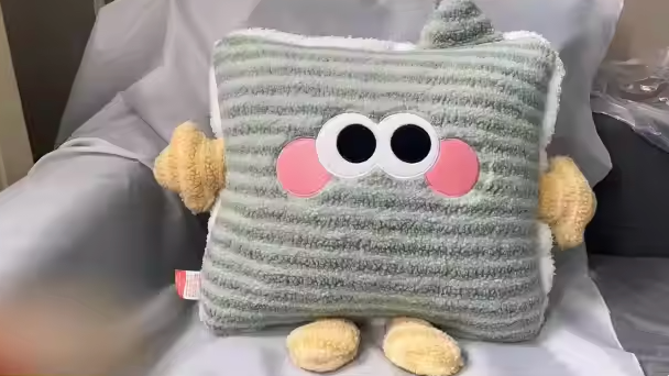 2-in-1 Pillow Blanket