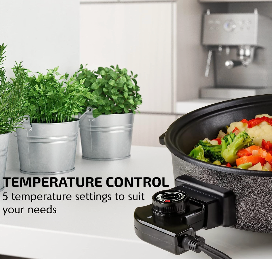 Electric Hot Pot